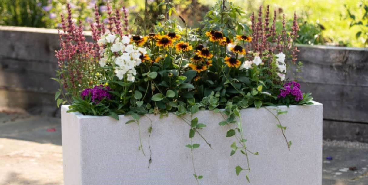 A Guide To Planter Materials