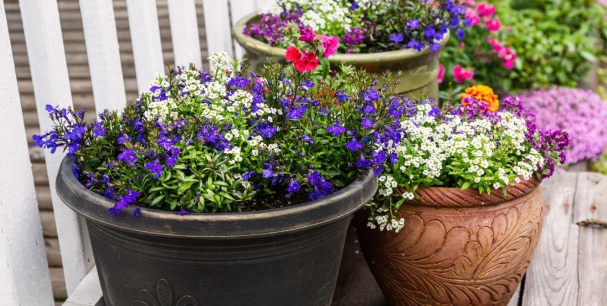 How To Choose The Right Planter