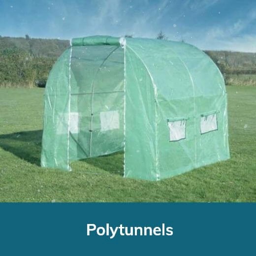 Polytunnels