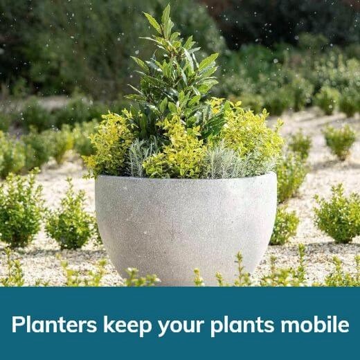 Planters Keep Your Plants Mobile