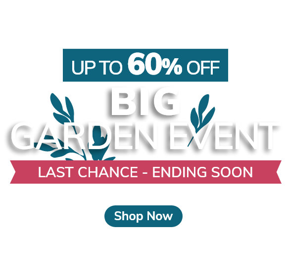 Primrose The UK's Leading Online Garden Centre