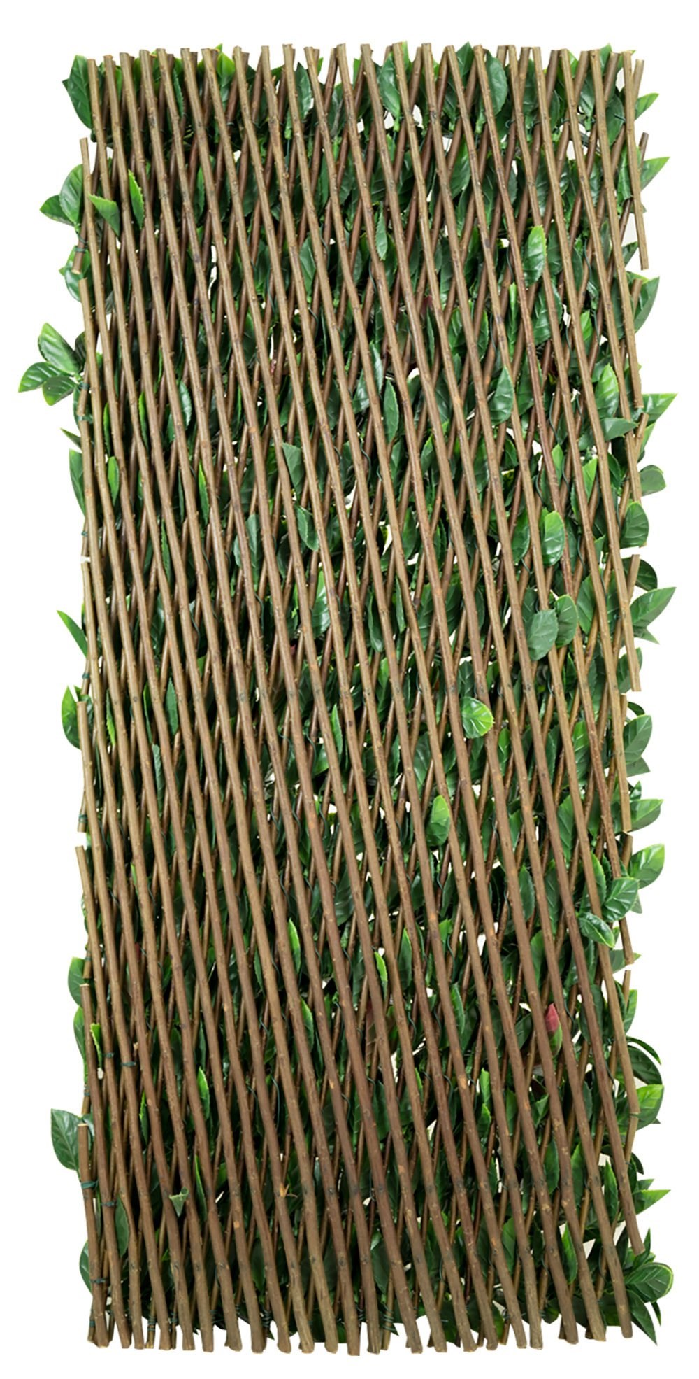 Buy Extendable Artificial Laurel Leaf Screening Trellis Papillon