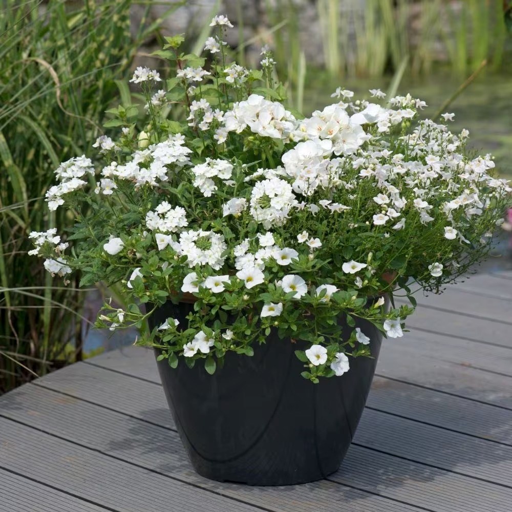 Effortless Chic Easyplanter