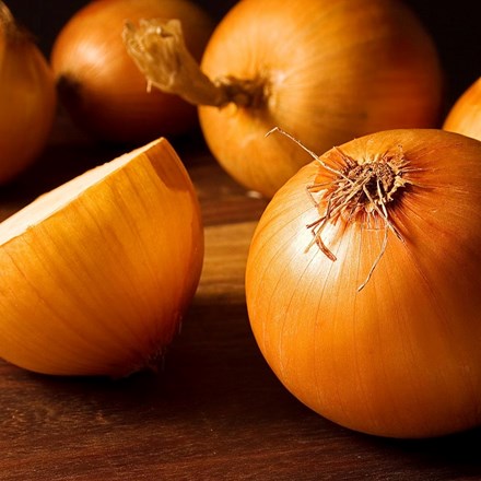 Onion 'Stuttgarter' | Yellow Flat Onion