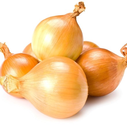 Onion Radar | Yellow Round Onion