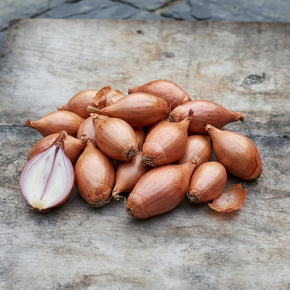 Shallot Jermor | Shallot