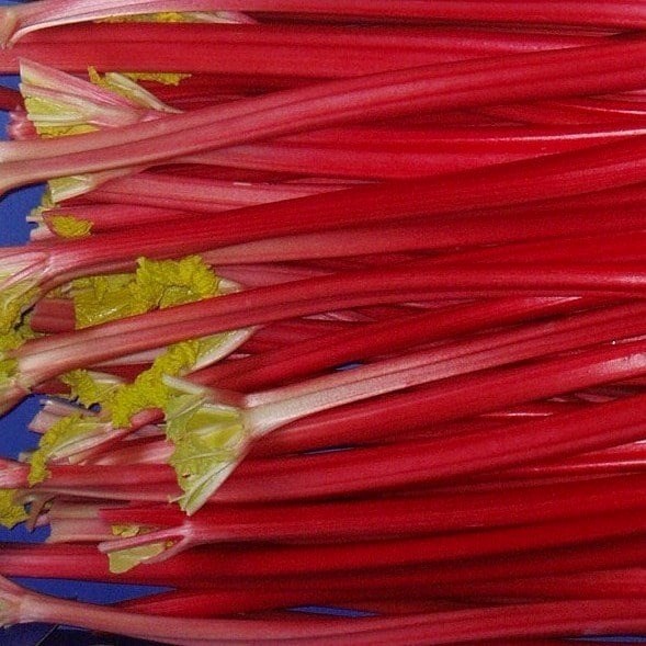 Rhubarb Raspberry Red