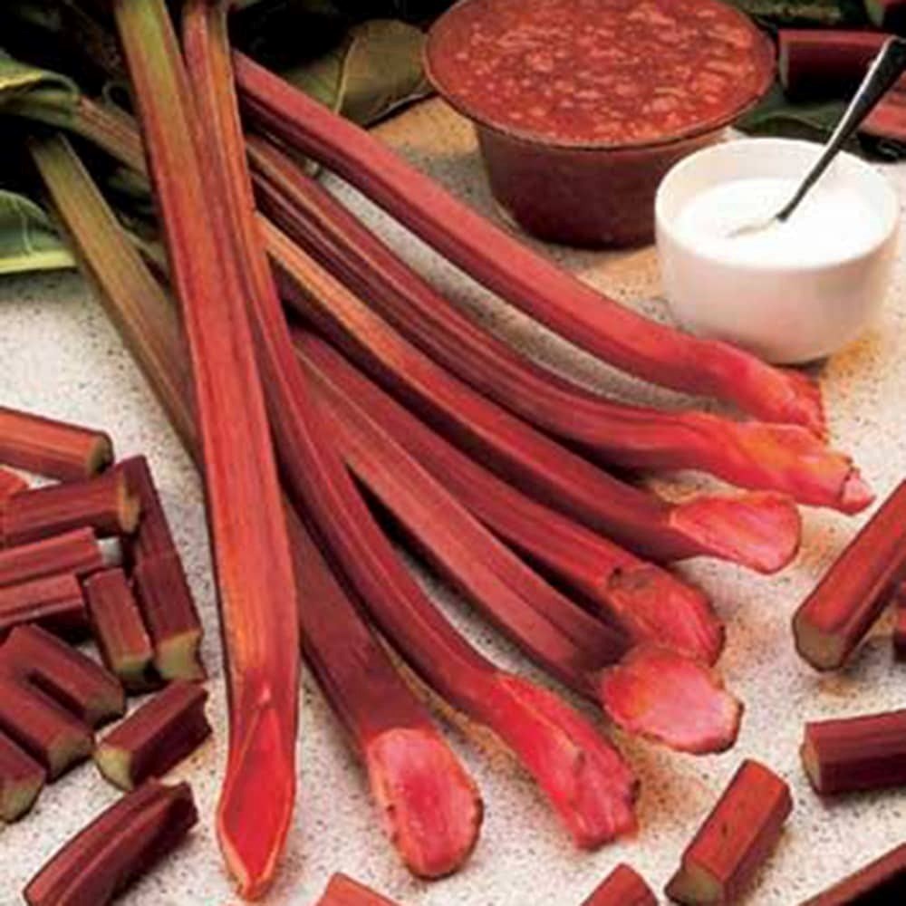 Rhubarb Red Champagne