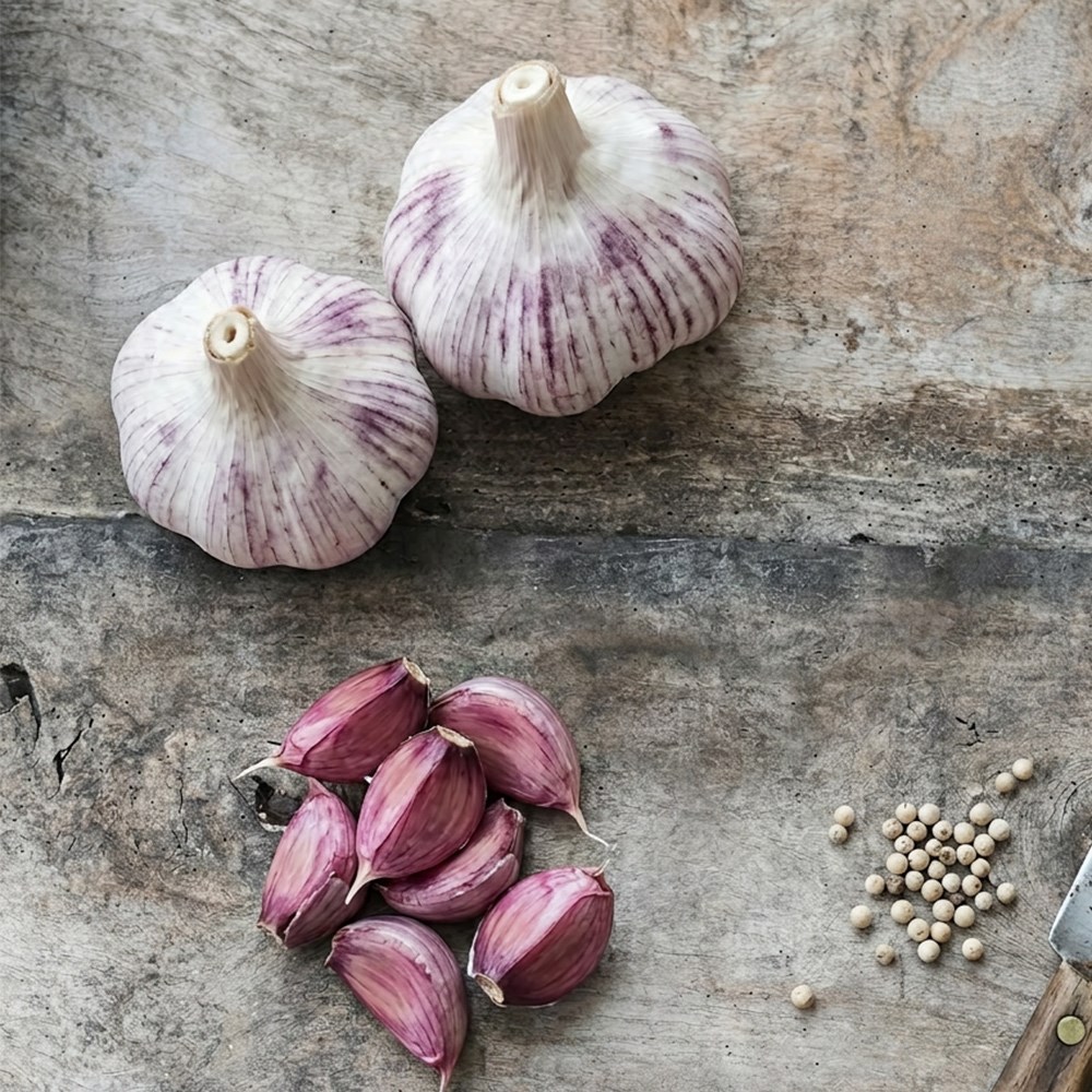 Garlic Kingsland Wight | Softneck Garlic
