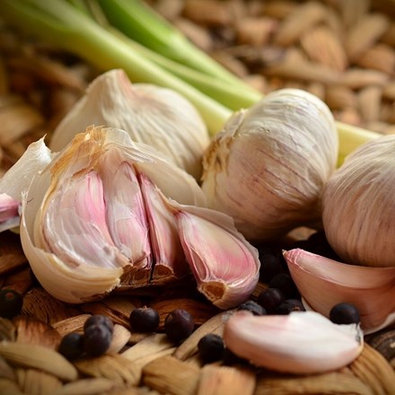 Garlic Kingsland Wight | Softneck Garlic