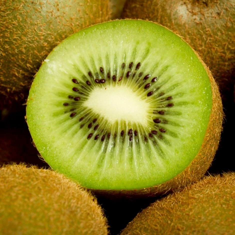 Kiwi Fruit Jenny | Actinidia Deliciosa