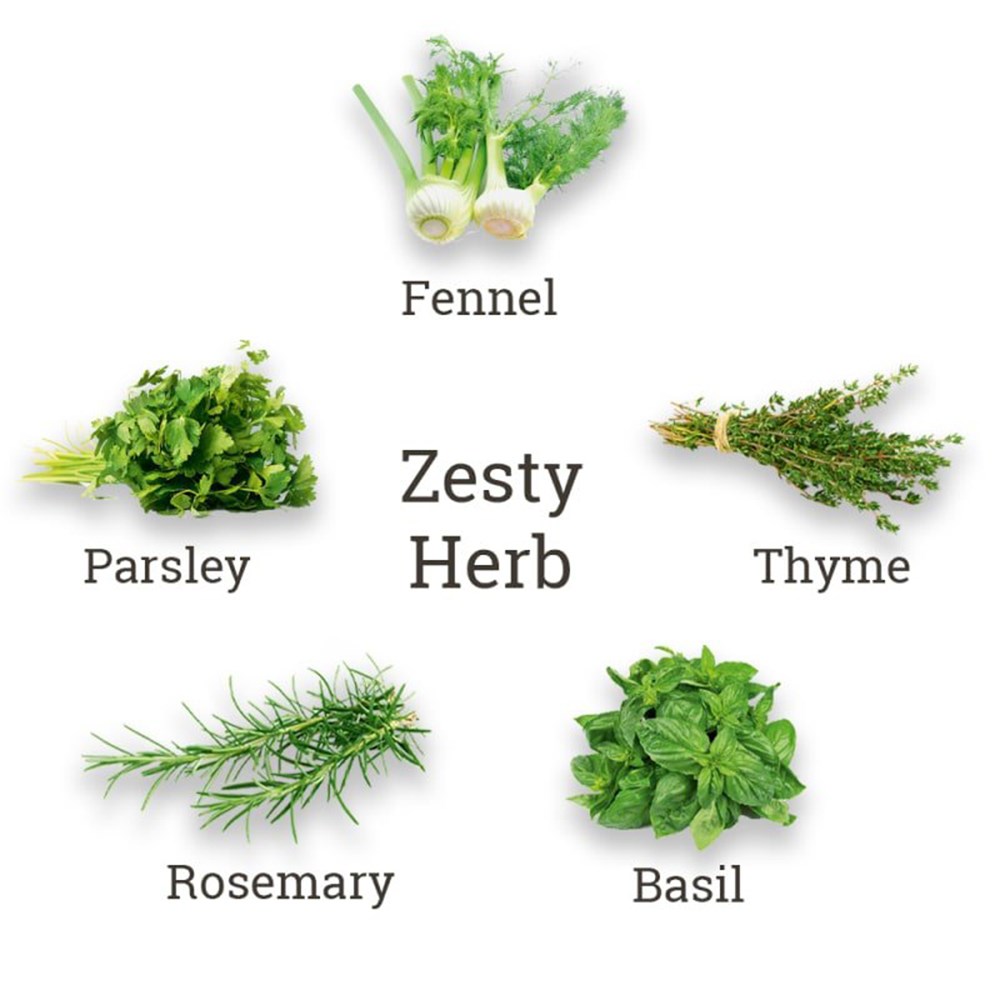 Grow Your Own Zesty Herb Kit | By Plant Theory