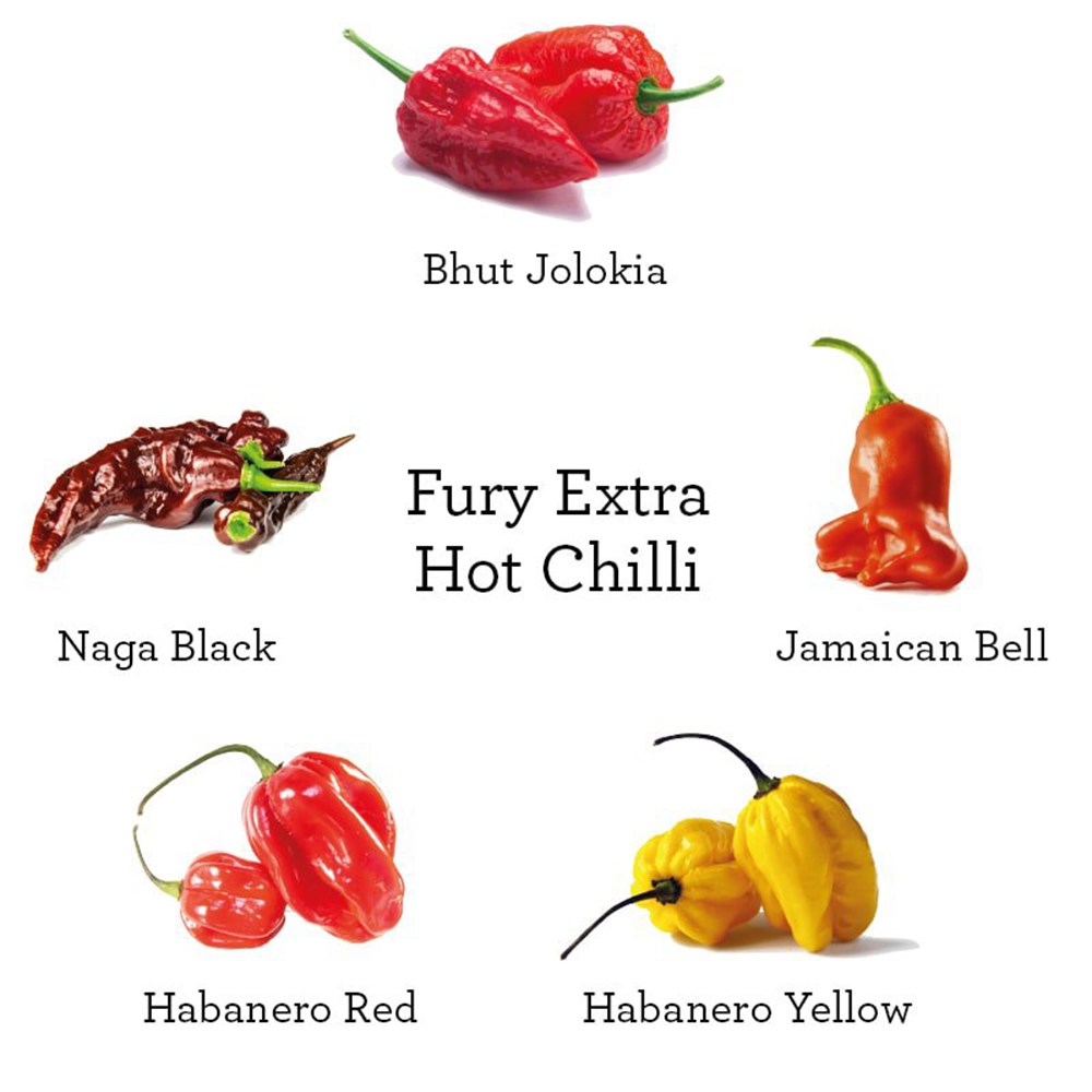 Grow Your Own Fury Extra Hot Chilli Kit | By Plant Theory