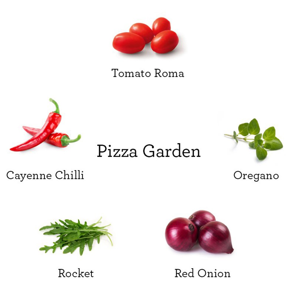 Grow Your Own Pizza Garden Kit | By Plant Theory