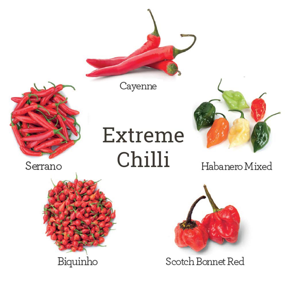 Grow Your Own Extreme Chilli Kit | By Plant Theory