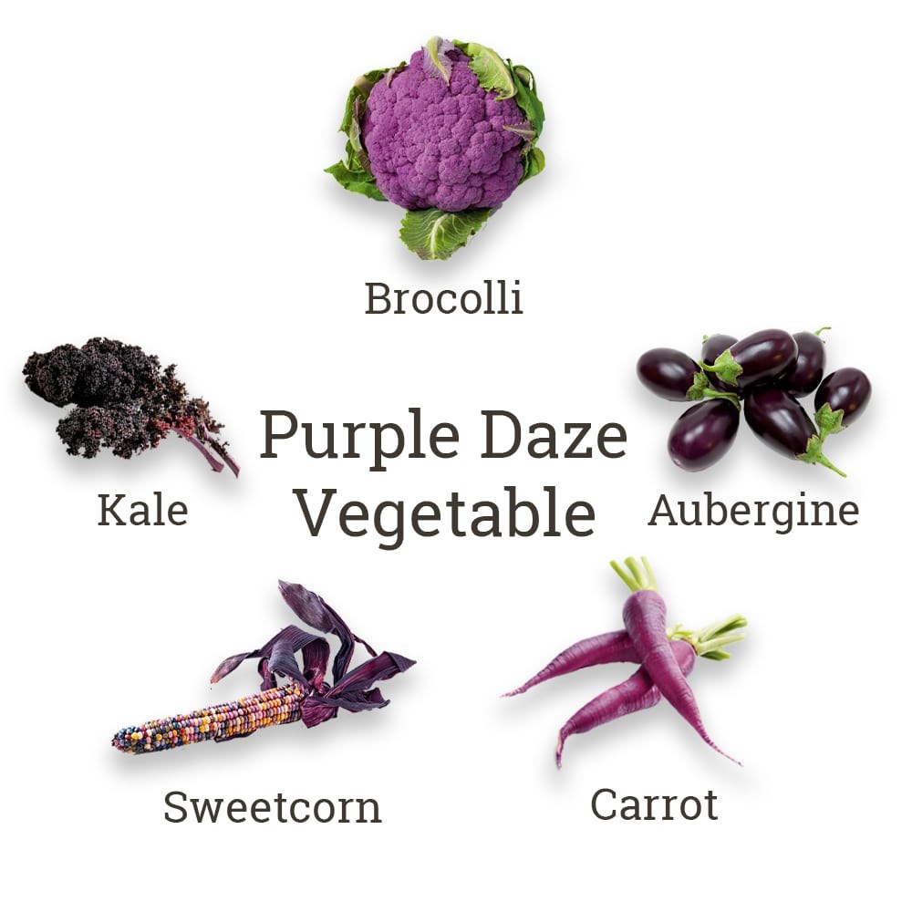 Grow Your Own Purple Daze Veg Kit | By Plant Theory