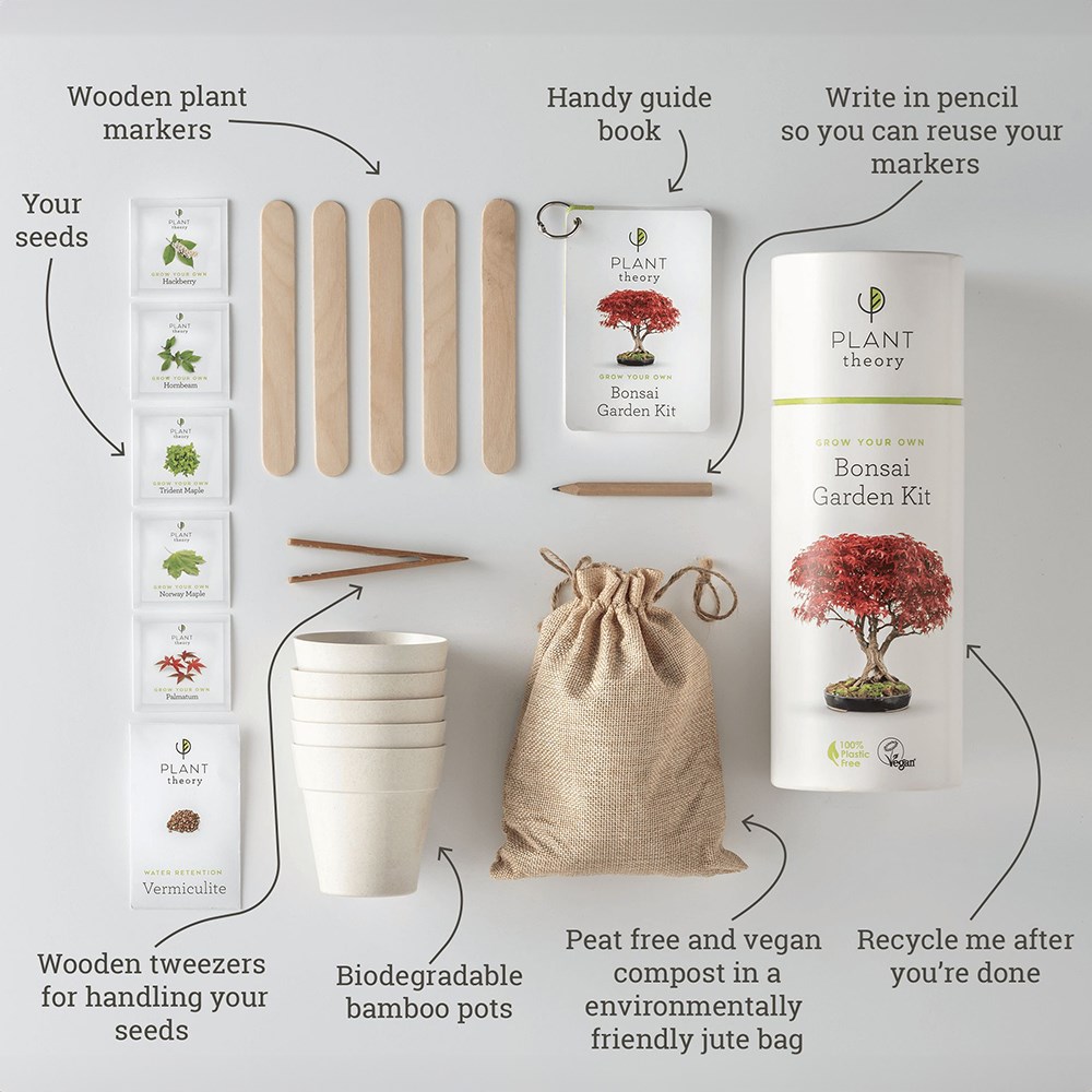 Grow Your Own Bonsai Kit | By Plant Theory