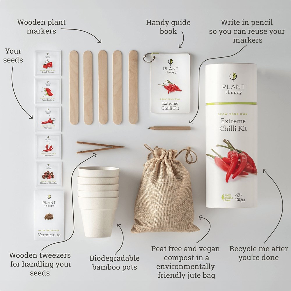 Grow Your Own Dynamic Duo Kit | By Plant Theory