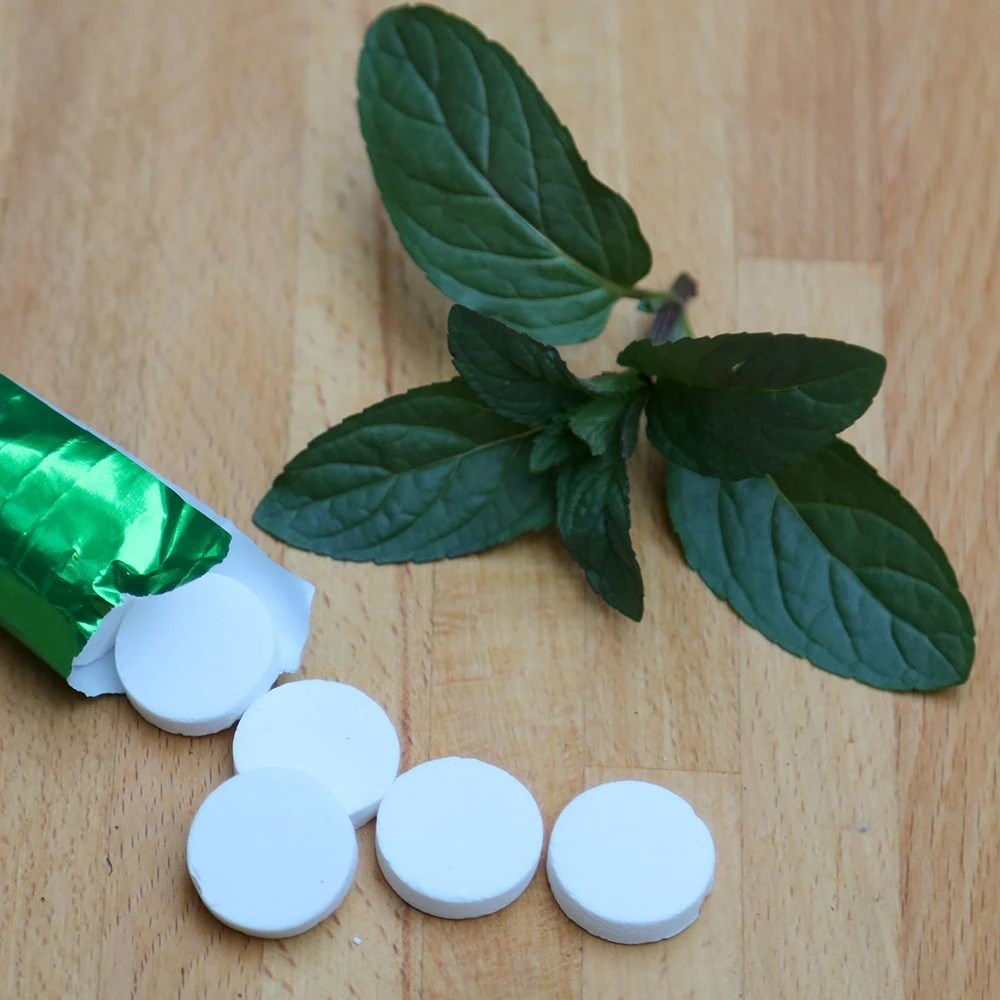 Mentha × Piperita | Peppermint