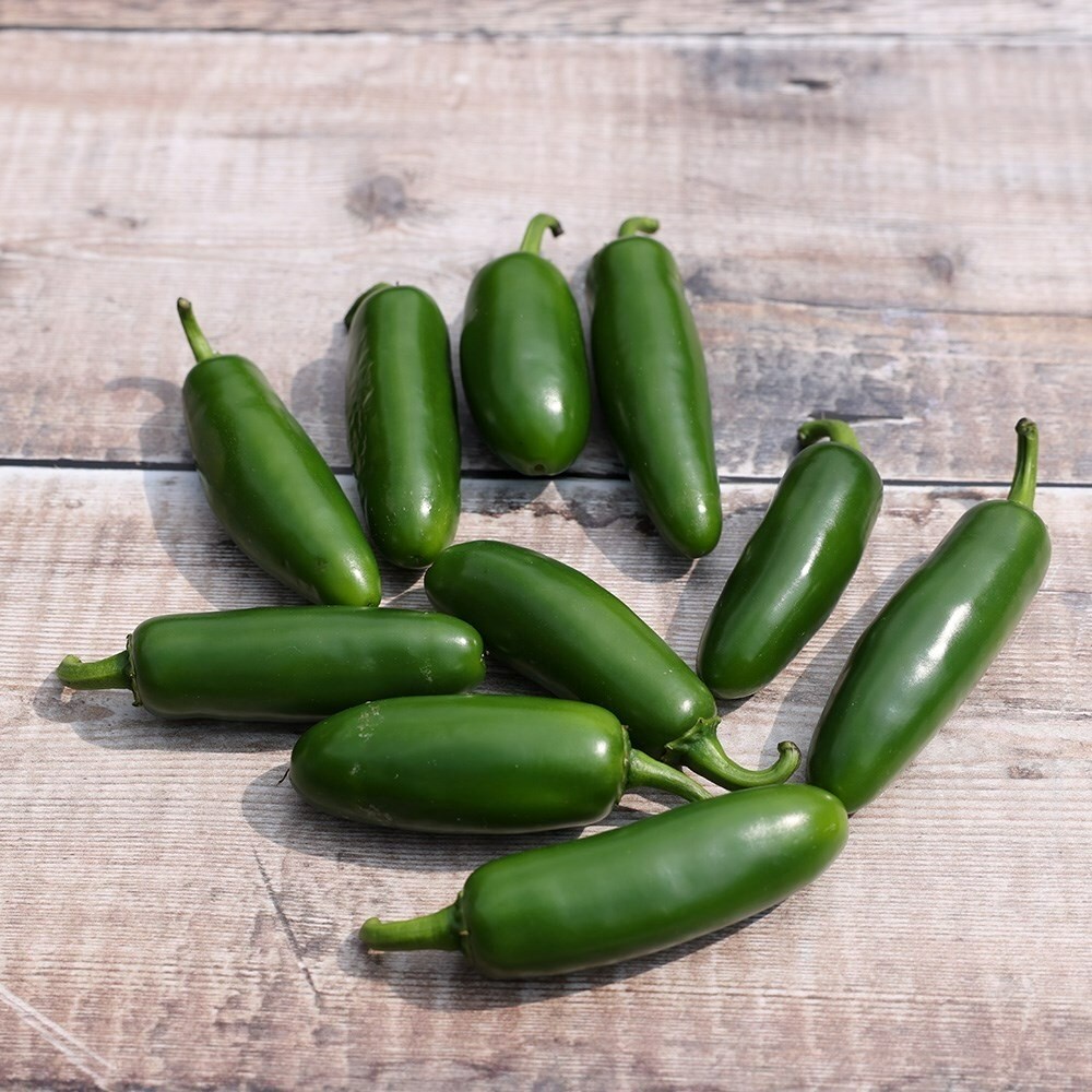 Chilli Pepper Jalapeño | Medium Hot Chilli