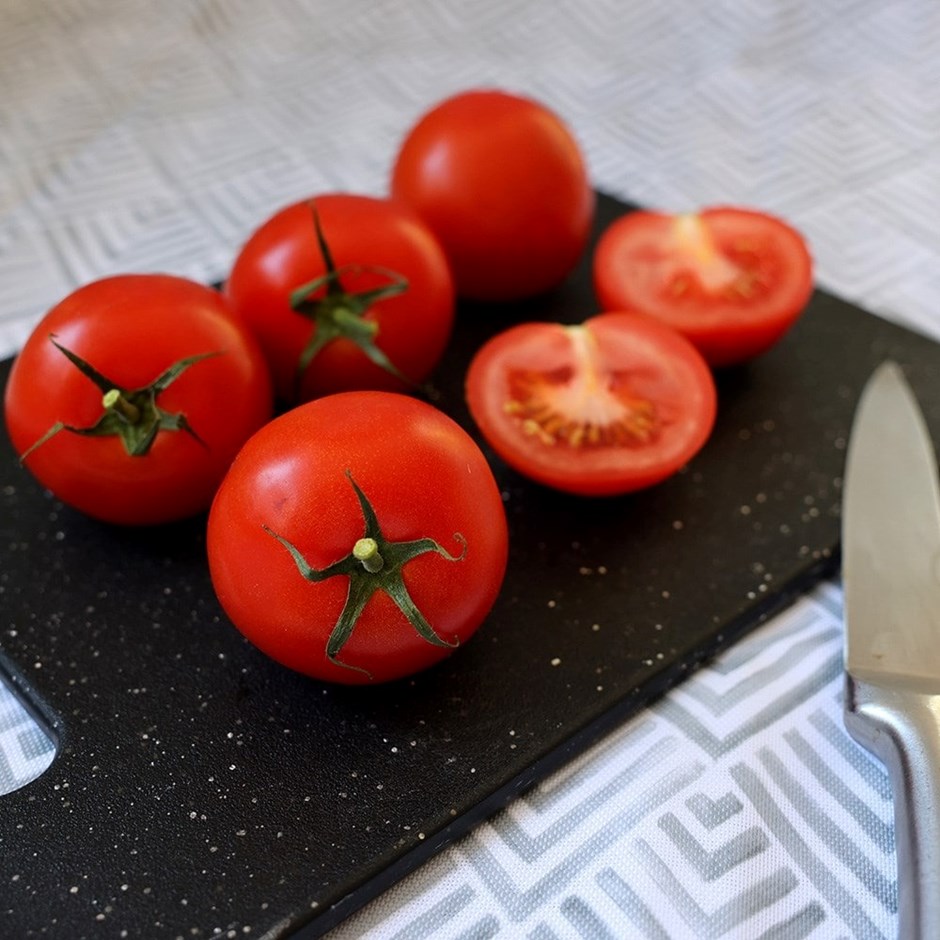 Tomato Alicante | Standard Tomato
