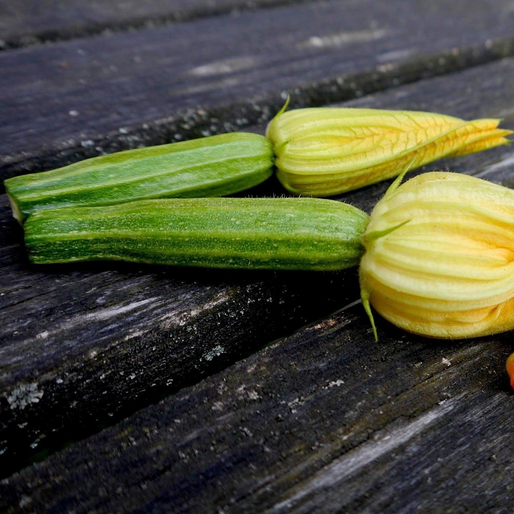 Courgette Romanesco | Zucchini