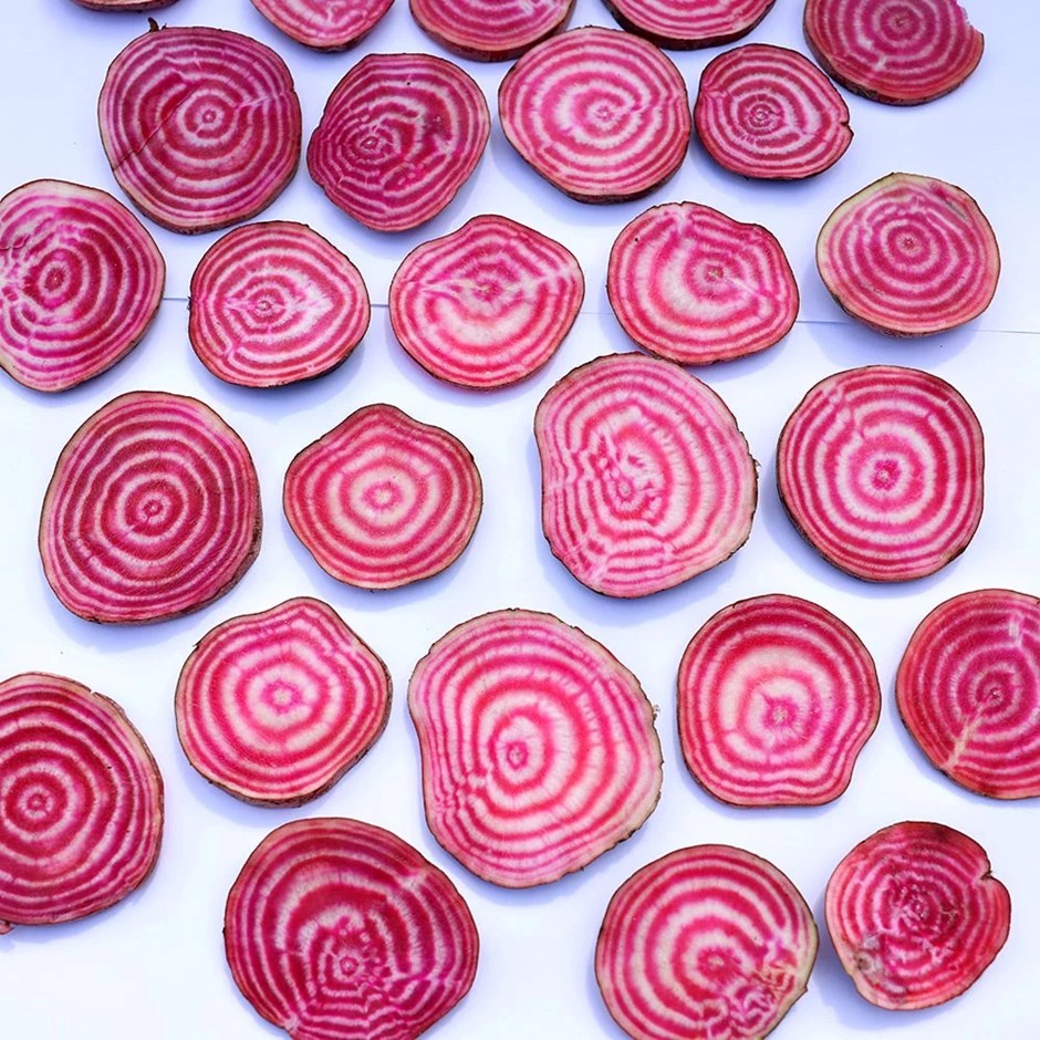 Beetroot Beetroot of Chioggia