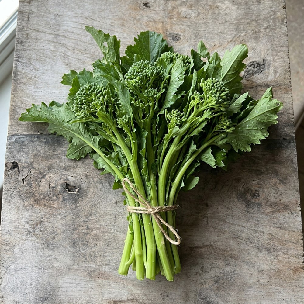 Broccoli raab Cima di Rapa 60 | Tender Broccoli