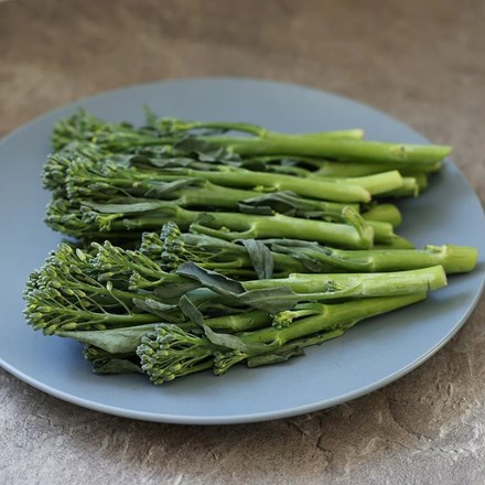 Broccoli raab Cima di Rapa 60 | Tender Broccoli