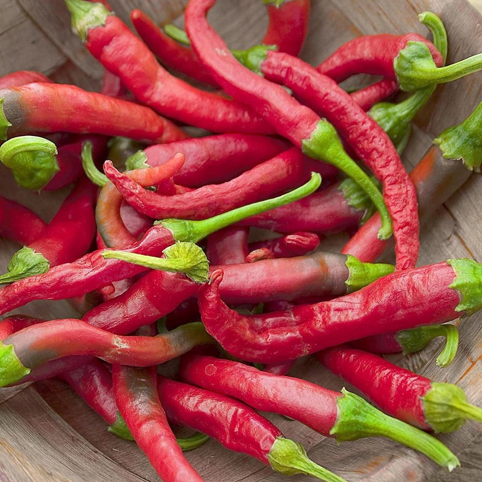 Chilli Pepper Cayenne | Hot Chilli