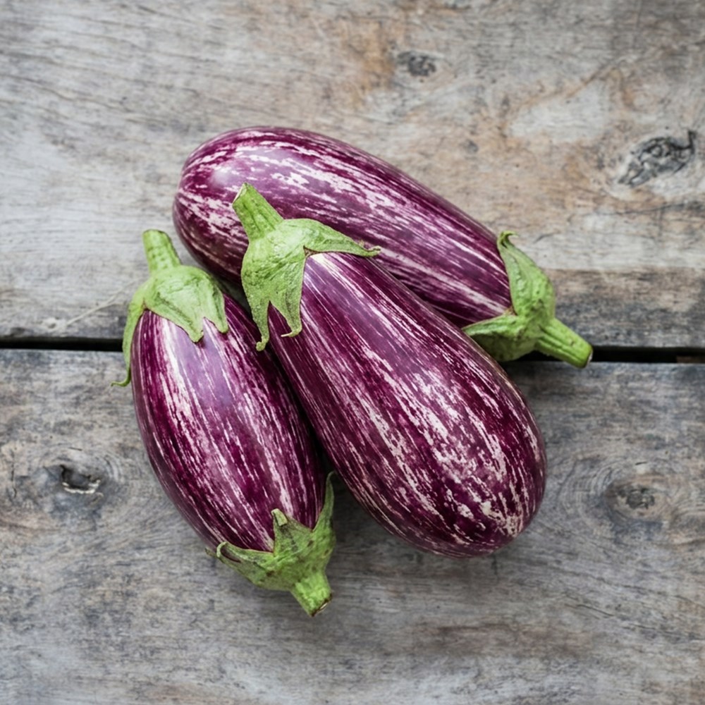 Aubergine Listada di Gandia | Egg Plant