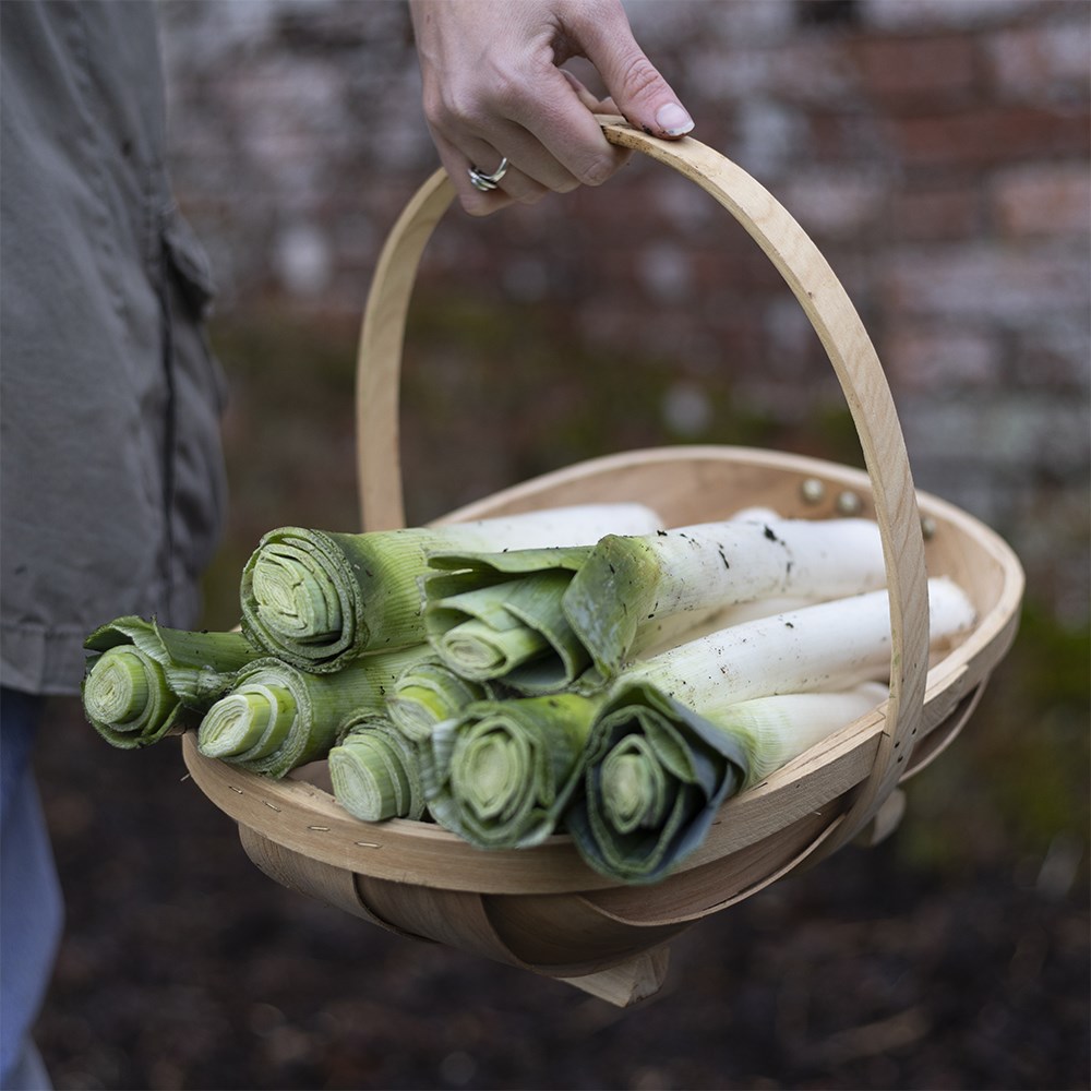 Leek Lyon