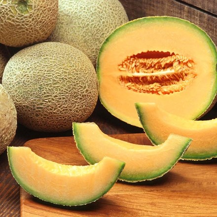 Melon Charentais | Cantaloupe Melon