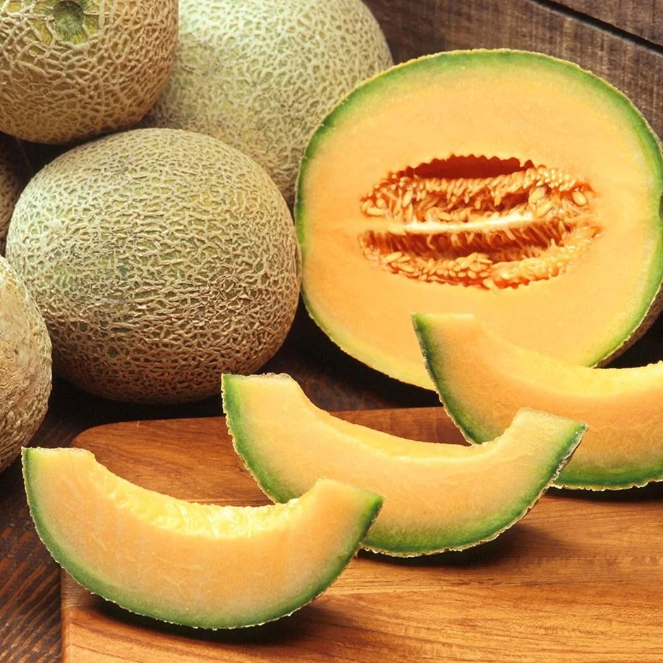 Melon Charentais | Cantaloupe Melon