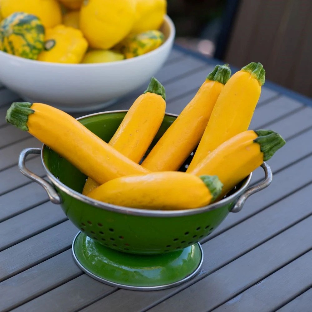 Courgette Gold Rush | Zucchini