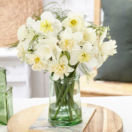 Blossom White Daffodil Collection