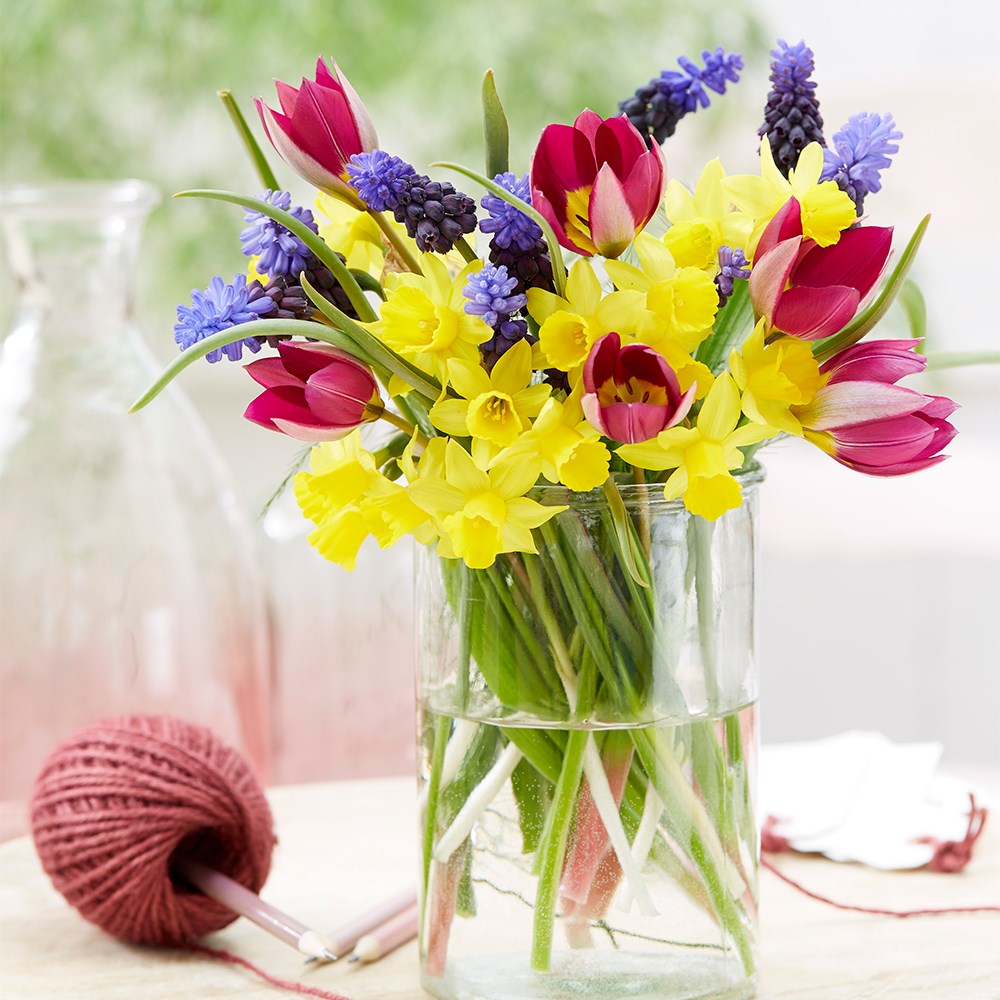 Spring Bouquet Bulb Collection