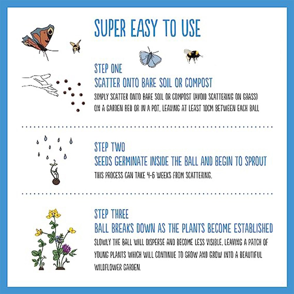 Seedballs forget-me-not