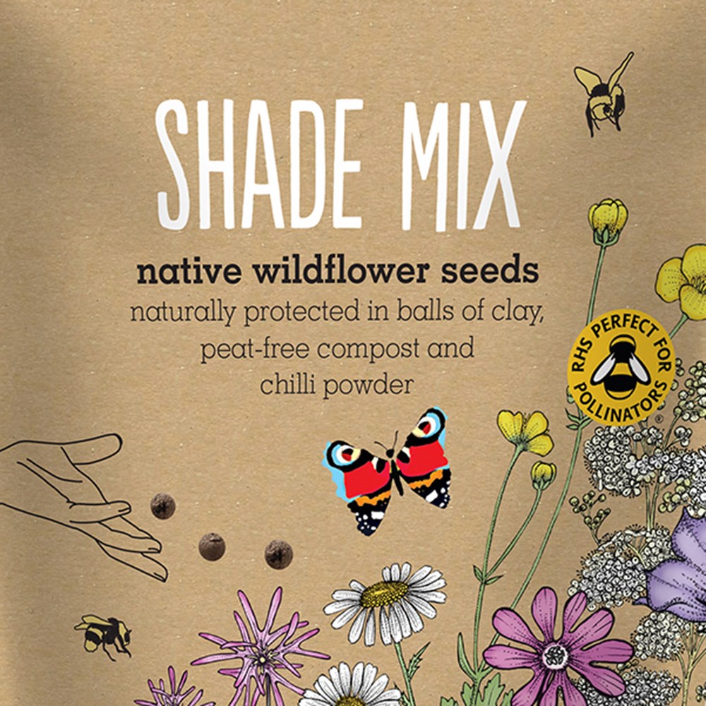 Seedballs native wildflowers for shade