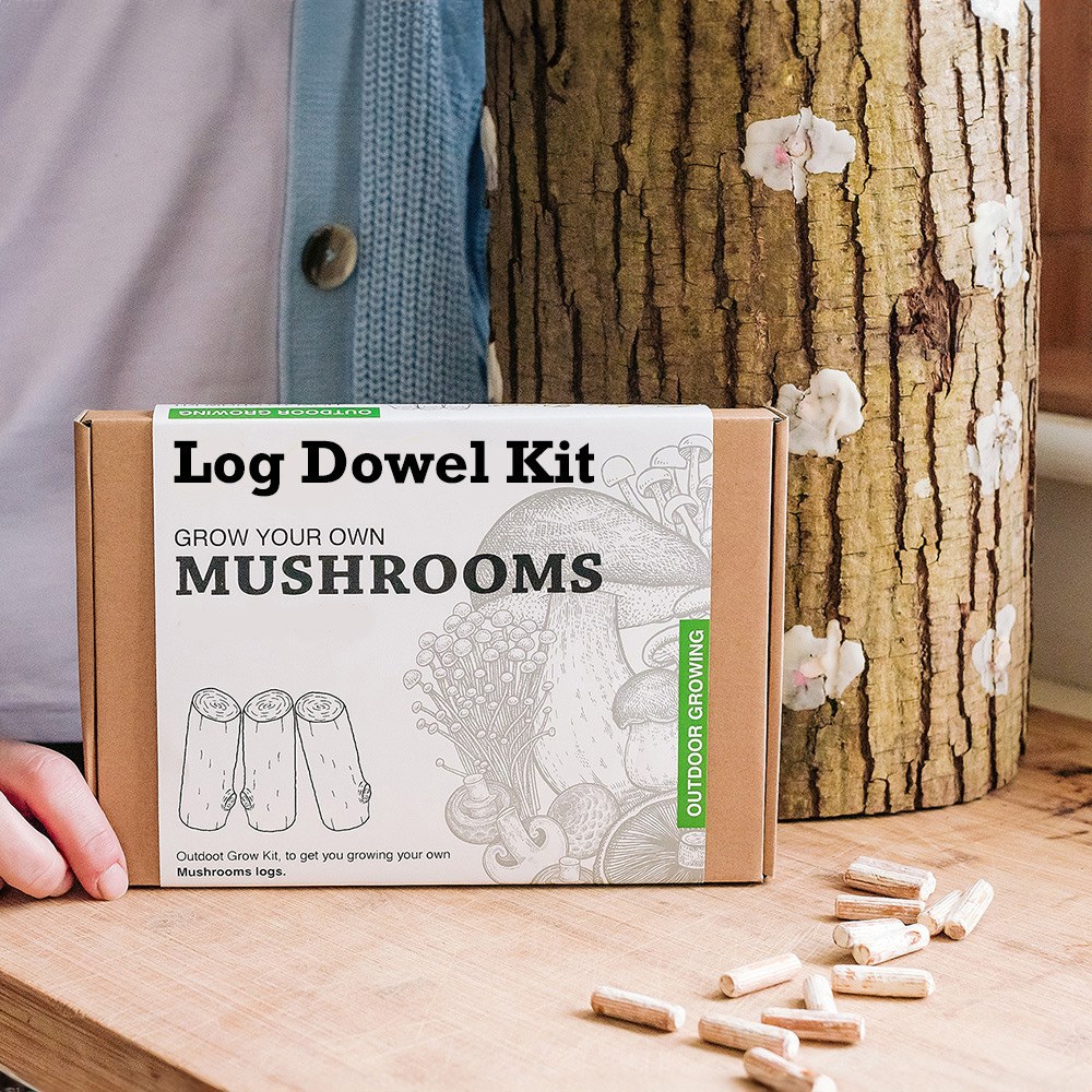 Shiitake Mushrooms