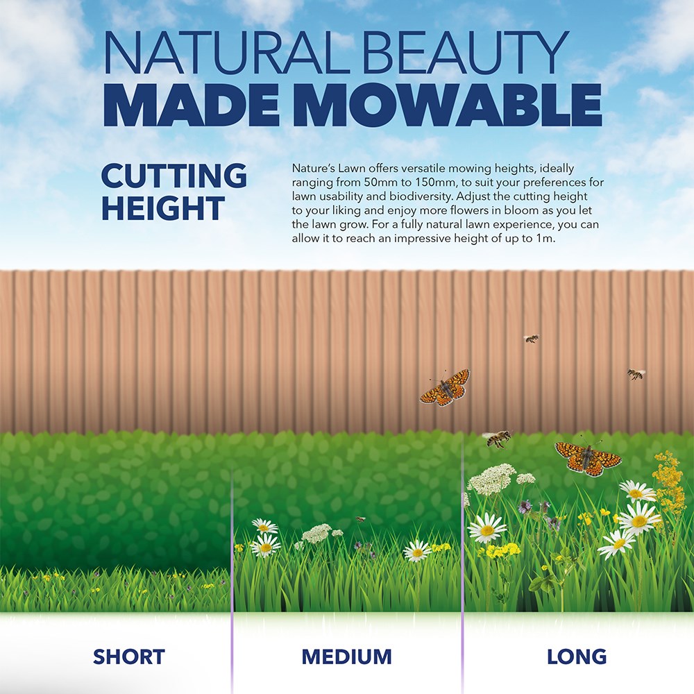 Johnsons Mowable Natures Lawn Seed | Grass And Wildflower Seed That Is Mowable