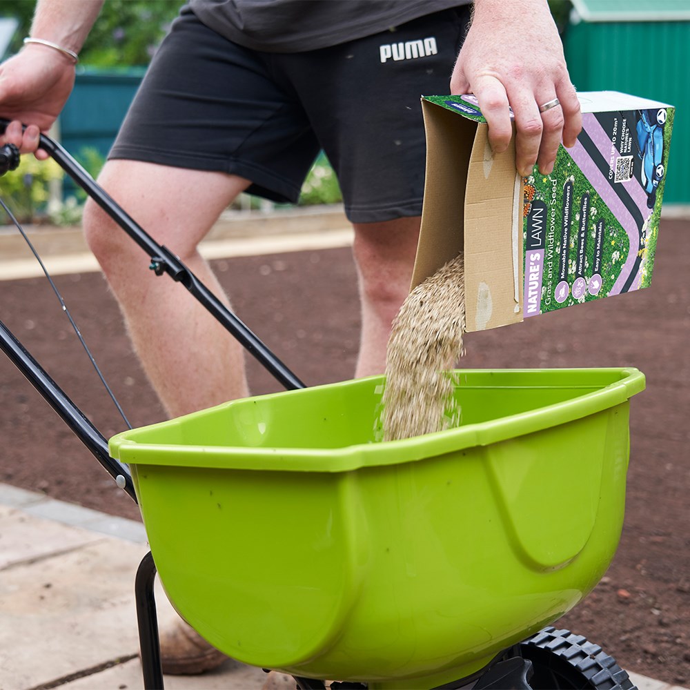 Johnsons Mowable Natures Lawn Seed | Grass And Wildflower Seed That Is Mowable