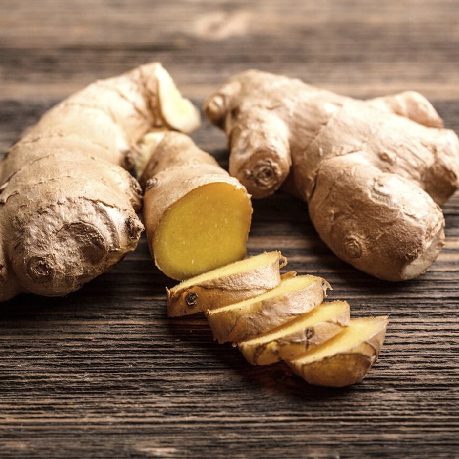 Common Ginger | Zingiber Officinale