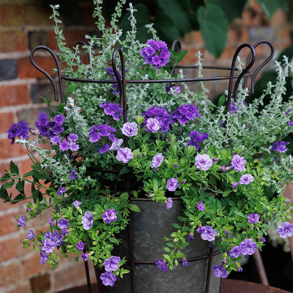 Trusted Friend - Easyplanter For Hanging Baskets & Patio Pots
