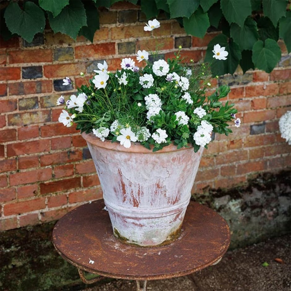 The Debutante - Easyplanter For Hanging Baskets & Patio Pots
