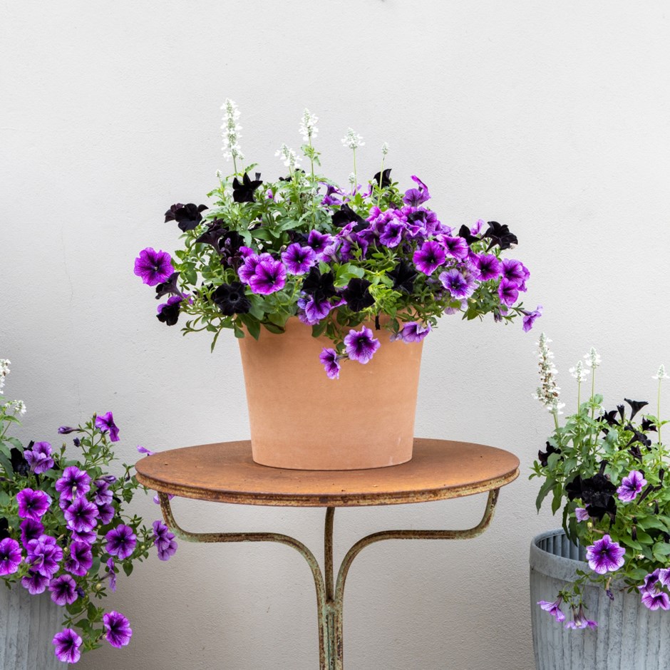 Storm Clouds - Easyplanter for hanging baskets & patio pots