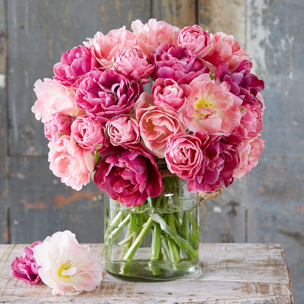 Double Pink Mixed Tulip Collection