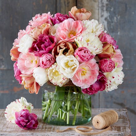 Double Late Tulip Boquet Collection