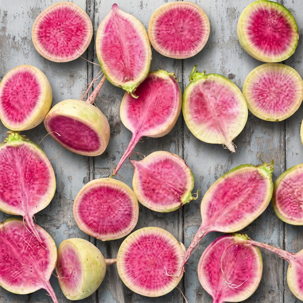 Radish Red Meat | Watermelon Radish