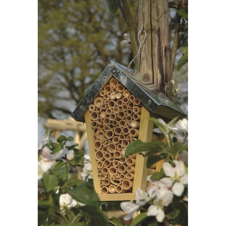 Eco Friendly Bee House - 20cm (8in)